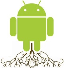 права root 